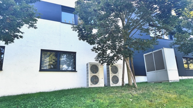 55441.jpg